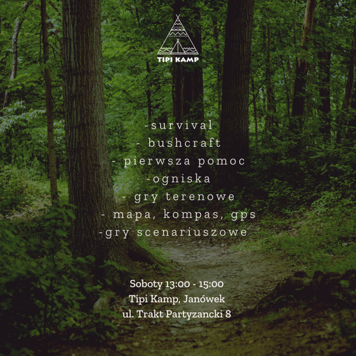 Zajęcia zorganizowane dla dzieci w lesie